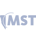 MST Global Logo